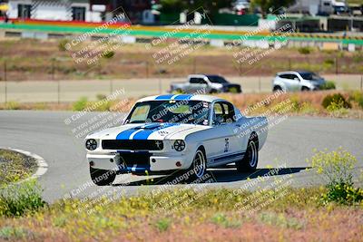 media/Apr-27-2024-LA Shelby Club (Sat) [[ca61902bd2]]/White Group/Session 1 (Turn 2)/